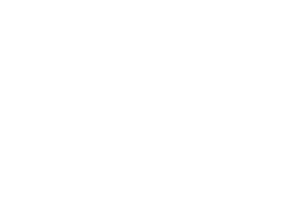 CLIO SPORTS