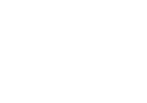 THE WEBBY AWARDS